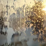 erfahren sie, warum schimmel an fenstern nach kalten nächten entsteht und wie sie effektiv dagegen vorgehen können. tipps zur vorbeugung und ursachenklärung.