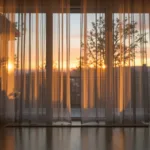 erfahren sie, welcher pflegefehler oft der grund dafür ist, dass zimmerpflanzen abends krank wirken, und wie sie ihre pflanzen richtig pflegen können.